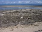 Another image of beach rock on the southern margin of the sand cay. The mainland is visible in the distance.